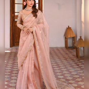 Blush Pink Organza Saree with Delicate Embroidery