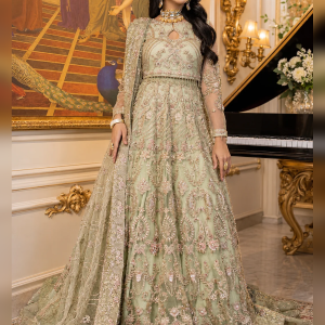 Mint Green Net Bridal Maxi with Intricate Embroidery