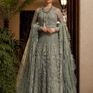 Mint Green Net Bridal Maxi with Heavy Silver Embroidery
