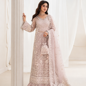 Blush Pink Organza Embroidered Gharara Suit