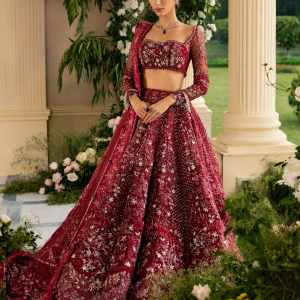 Red Net Bridal Lehenga with Heavy Embroidery