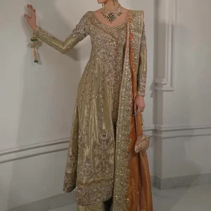 Double Zari Gold Embroidered Formal Wedding Dress